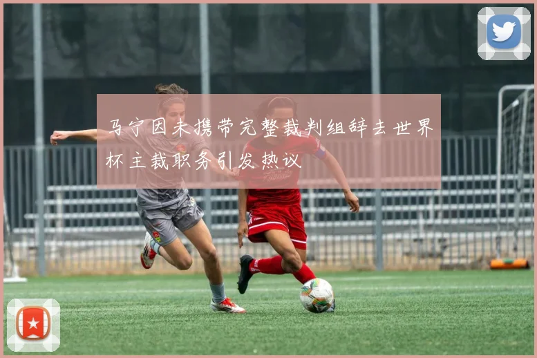 马宁因未携带完整裁判组辞去世界杯主裁职务引发热议