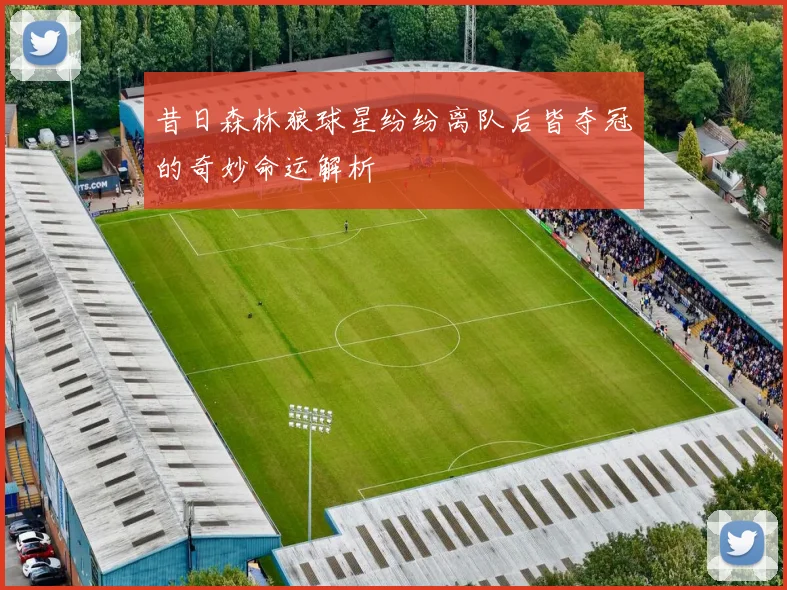 昔日森林狼球星纷纷离队后皆夺冠的奇妙命运解析