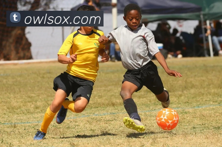 互动解说服务